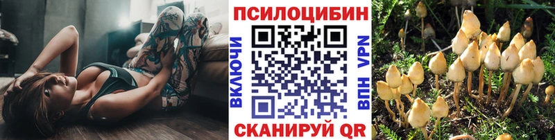 Псилоцибиновые грибы ЛСД  купить наркотики сайты  Петушки 